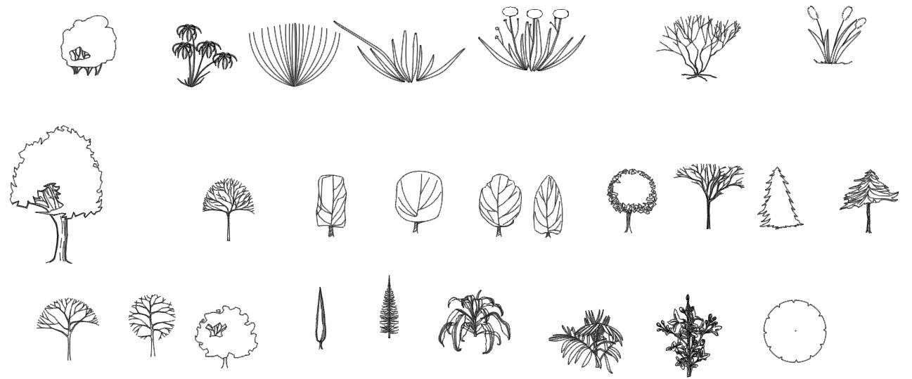 Деревья в плане автокад